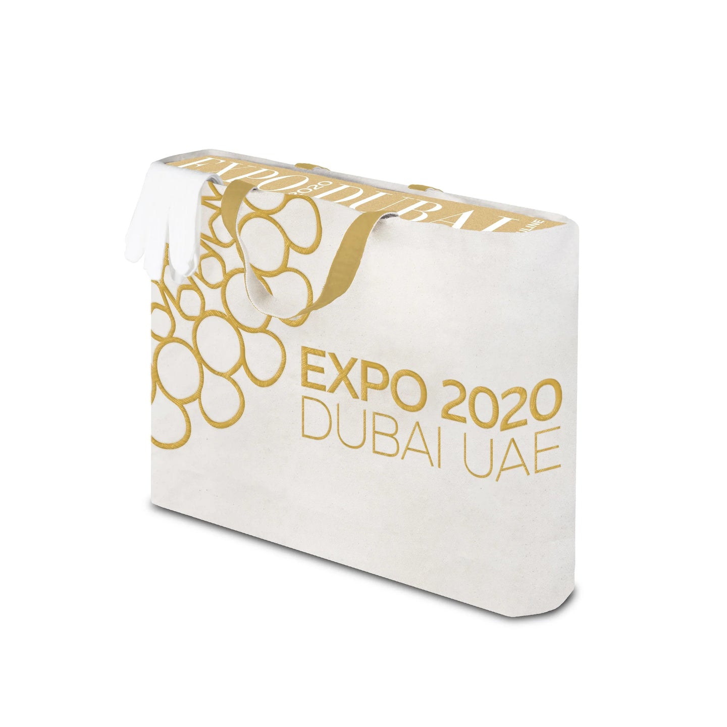 expo 2020 dubai: the definitive edition 1